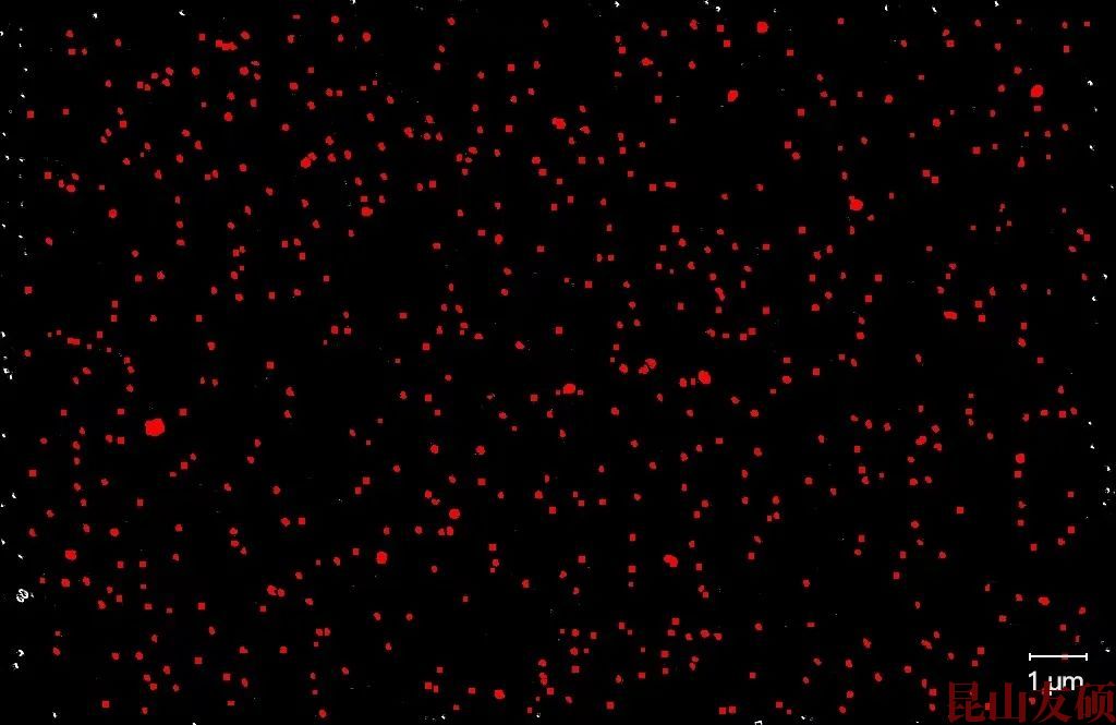 吉安吉安蔡司吉安扫描电镜